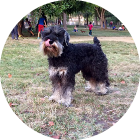 Charly perro BTA - Team Backtrack Academy